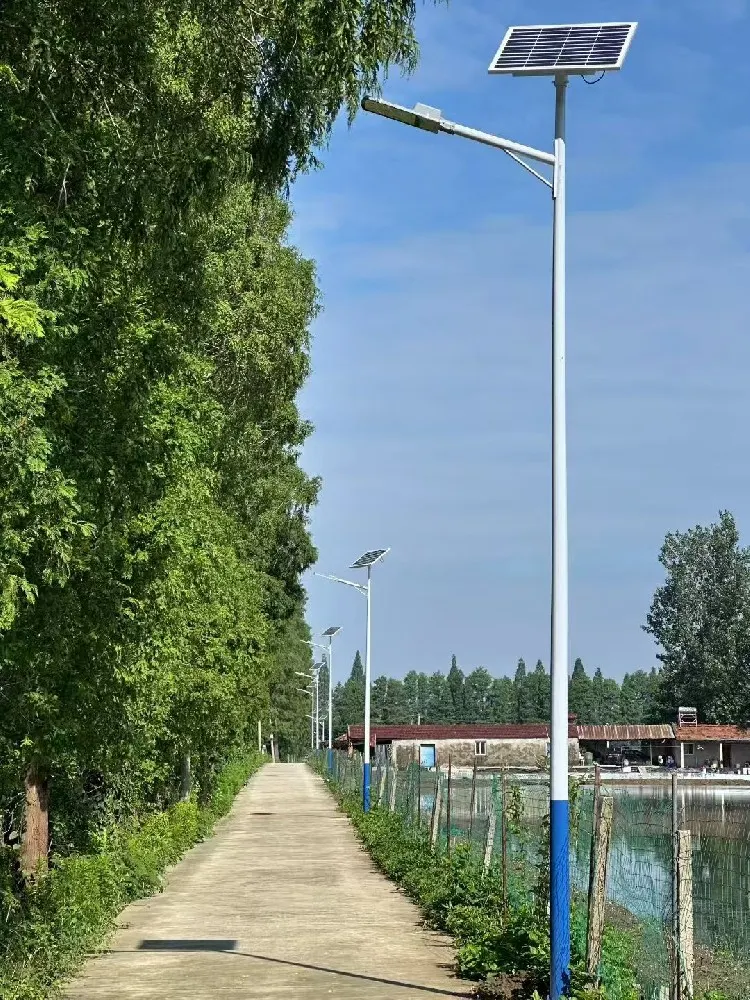 6米 LED太阳能路灯